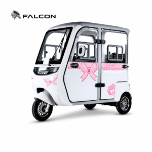 Enclosed Leisure Electric Tricycle
