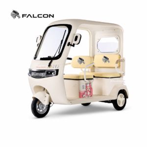 Canopy Leisure Electric Tricycle
