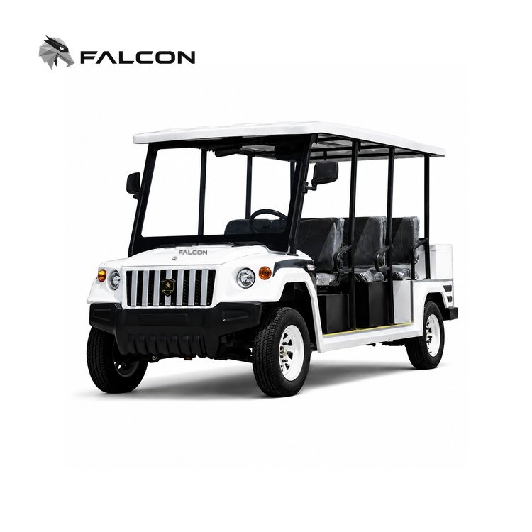 Five-Seat Electric Patrol Vehicle