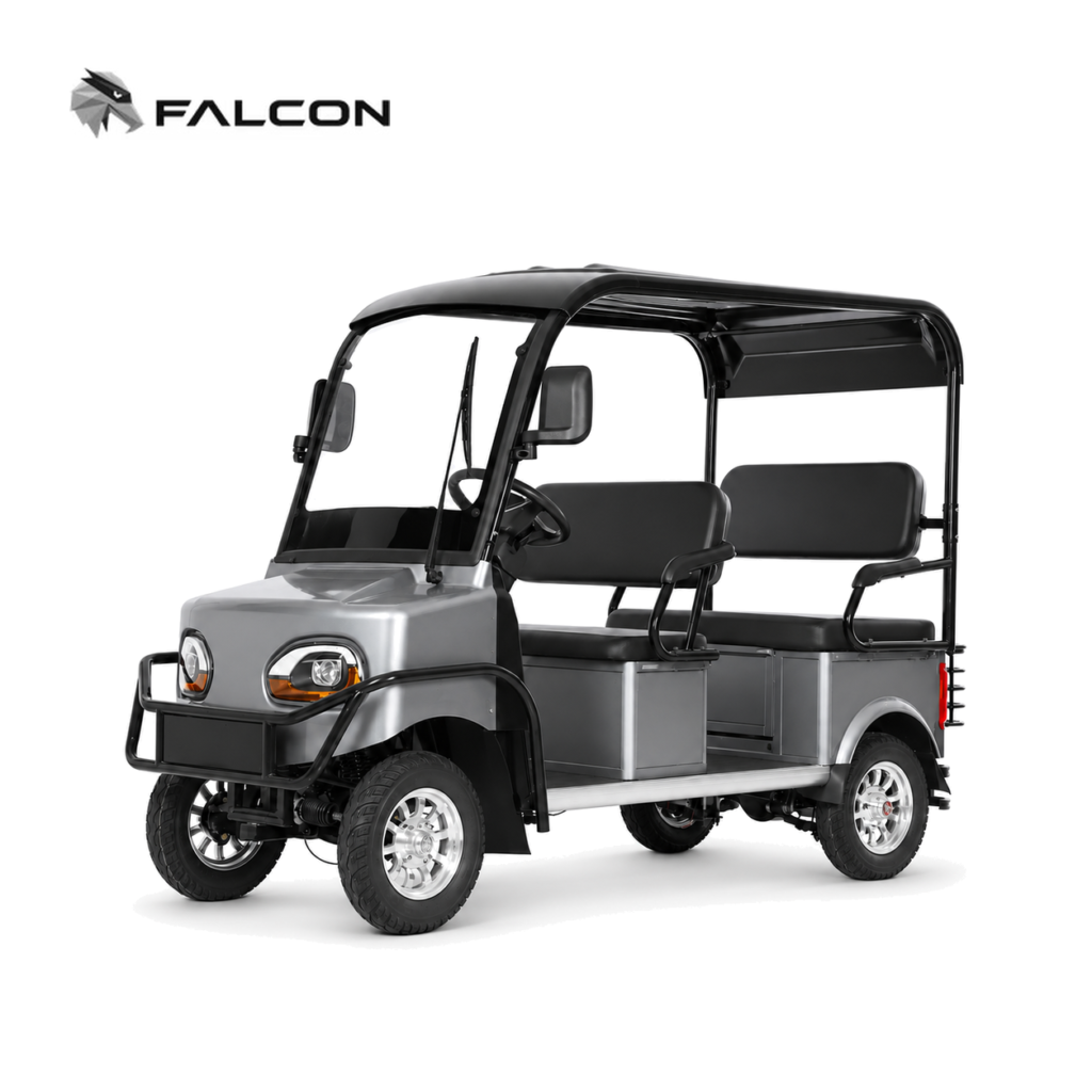 Electric Golf Cart GG-DP003