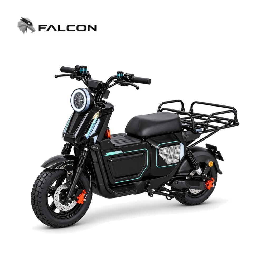 Electric Motorcycle ZR-CP007