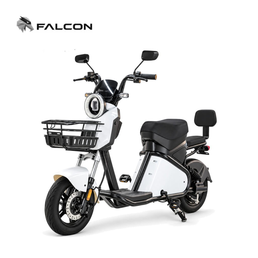 Electric Motorcycle ZR-CP008
